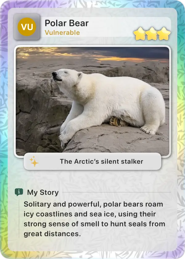 Animal Card 1